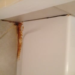 Palm Beach Ocean Front Inn - Nice moldy tub at the hotel.