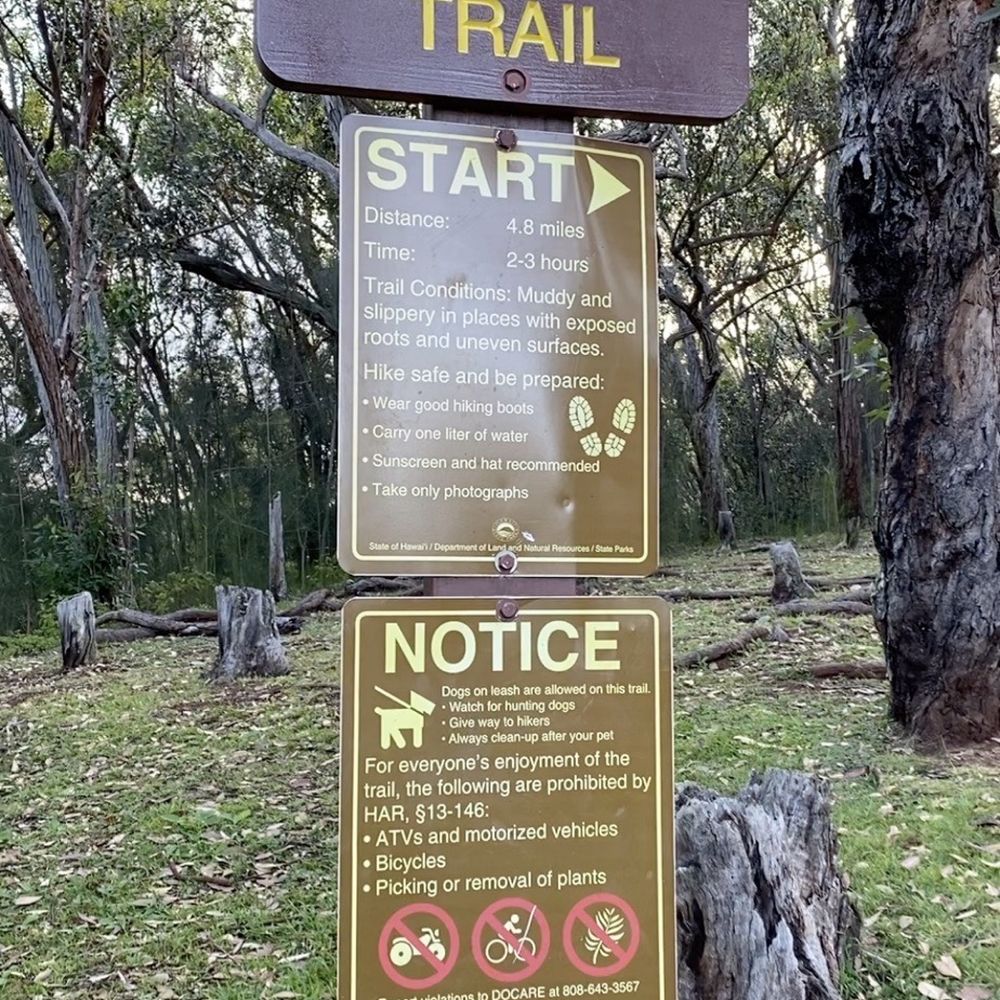 Aiea Loop Trail - Start of the Aiea Loop Trail (top of the hill; going counterclockwise) - Hiking Near Me - Aiea, Hawaii