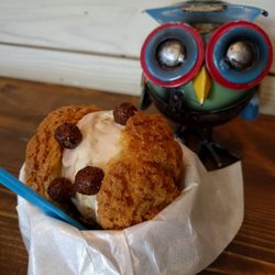 Owl's Choux & Gelato - Praline