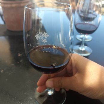Tempus Alba - Fly in the wine. So many flies at the bodega - Wineries Near Me - Godoy Cruz, M
