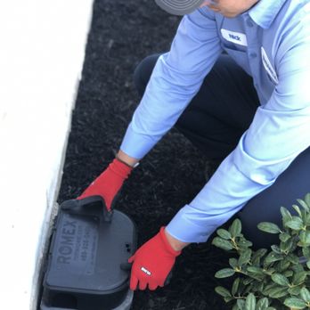 Romex Pest & Termite Control - Pest Control Near Me - McKinney, Texas Romex Pest & Termite Control - Pest Control Near Me - McKinney, Texas