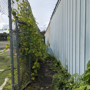 SUNY Adirondack - hasn't been taken care of in years, buildings, courts, fencing all destroyed from neglect - Colleges & Universities Near Me - Queensbury, New York