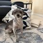 Fur-ever Pet Grooming