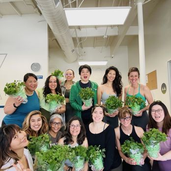 YogaSix Saratoga - Yoga teacher training on Saint Patrick's Day - Yoga Near Me - Saratoga, California YogaSix Saratoga - Yoga teacher training on Saint Patrick's Day - Yoga Near Me - Saratoga, California