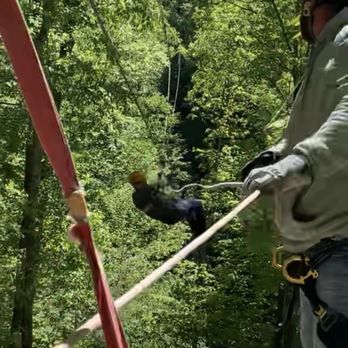 WEARS VALLEY ZIPLINE ADVENTURES - Updated December 2025 - 55 Photos
