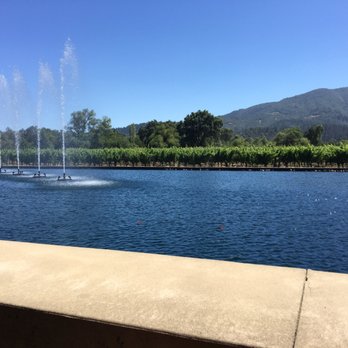 Alpha Omega - Gorgeous setting with some fantastic dragon flies! - Wineries Near Me - Saint Helena, California