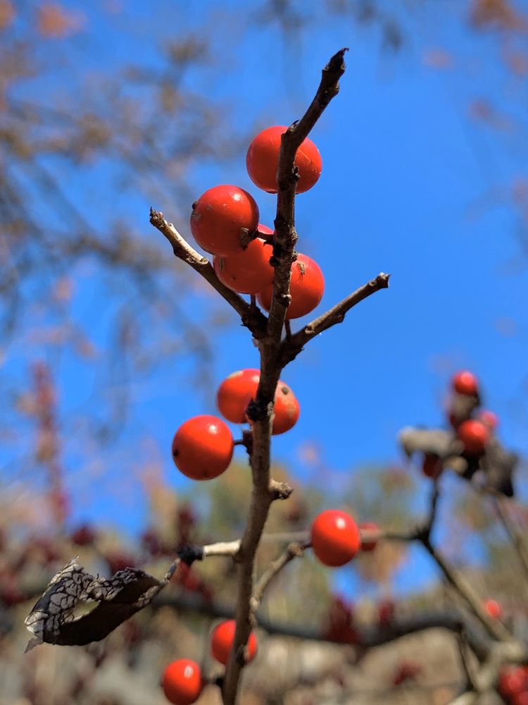 HAMILTON POOL PRESERVE 1019 Photos & 385 Reviews 24300 Hamilton