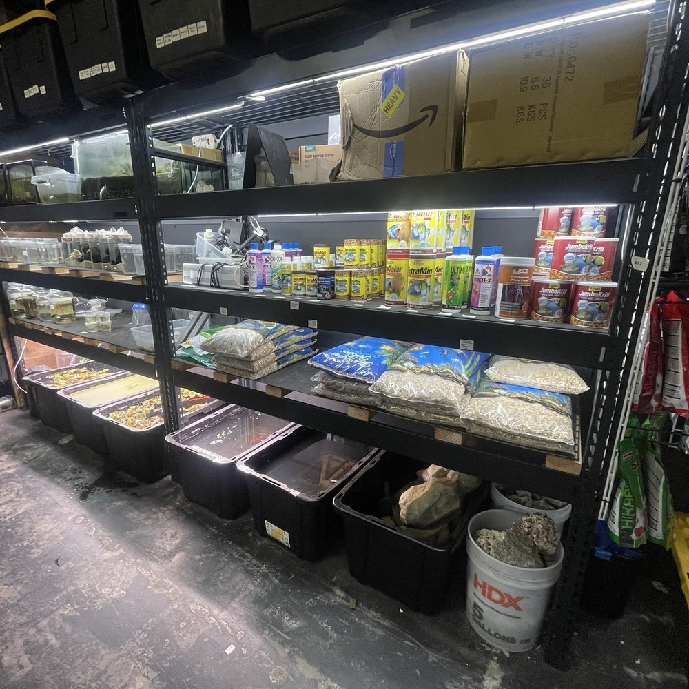 MastahBetta Fish Shop - Local Fish Stores Near Me - Honolulu, Hawaii