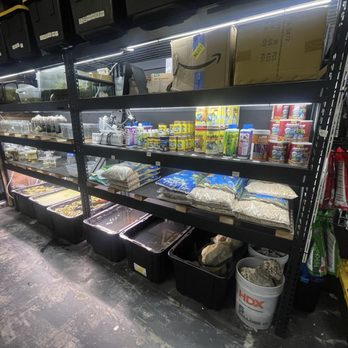 MastahBetta Fish Shop - Local Fish Stores Near Me - Honolulu, Hawaii MastahBetta Fish Shop - Local Fish Stores Near Me - Honolulu, Hawaii