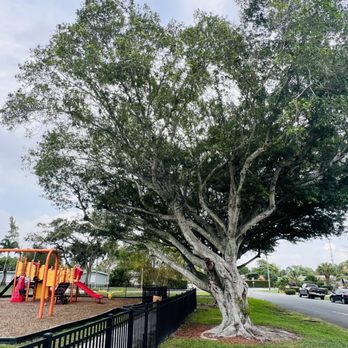 Hibiscus Park - Parks Near Me - Boynton Beach, Florida