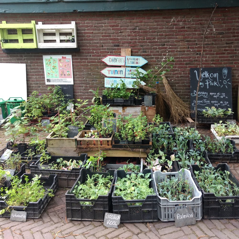 TOP 10 BEST Farms in Zuidland, Zuid-Holland, The Netherlands