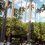 Photo of Coreto da Praça de São João Marcos