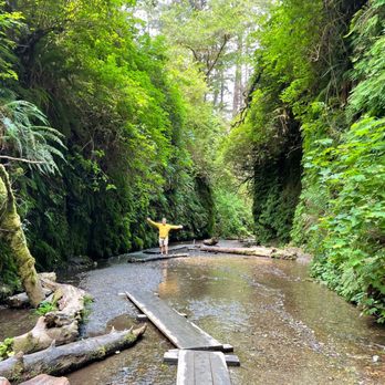 Fern Canyon Trailhead - The Fern Trail is actually walking through the stream that flows through the canyon - Parks Near Me