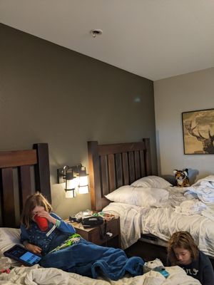 GREAT WOLF LODGE - Updated August 2024 - 366 Photos & 401 Reviews