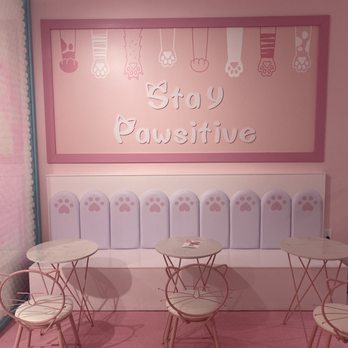 Kitty Bubble Cafe & Bar - Cafes Near Me - Columbus, Ohio