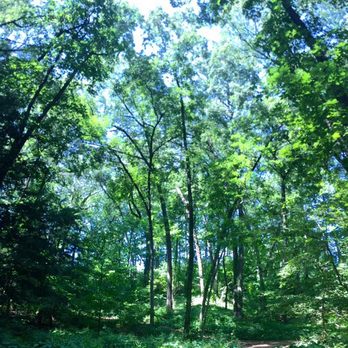 Nichols Arboretum - Parks Near Me - Ann Arbor, Michigan