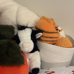 Avid & Co - Cow