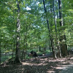 Palmer Park