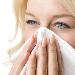 Holistic Doctor of Charlotte - Developer of the natural allergy desensitization technique AllerCease™.