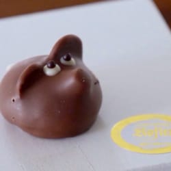 Kofler - Lustige Pralinés, und erst noch lecker!