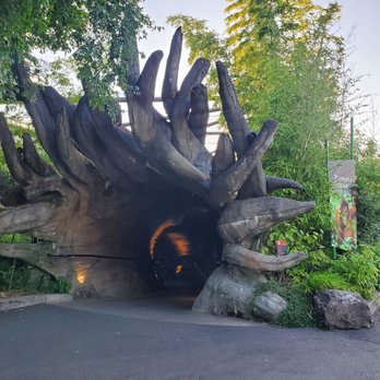 Oregon Zoo - Entrance to Primate Forest - Zoos Near Me - Portland, Oregon