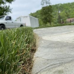 Elite Lawn Service And Landscaping - Edging along a sidewalk