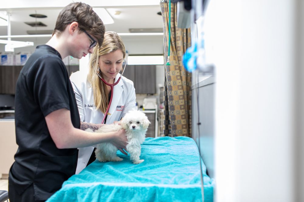 PARKWAY VETERINARY EMERGENCY CLINIC Updated September 2024 16