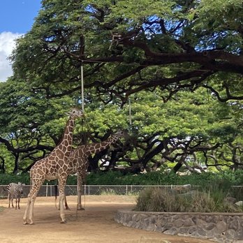 Honolulu Zoo - Zoos Near Me - Honolulu, Hawaii
