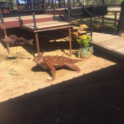 Denton Valley Backyard - That's a big ass horny toad!