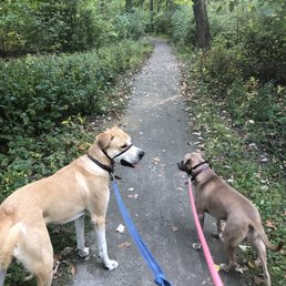 Otis and Maggie.