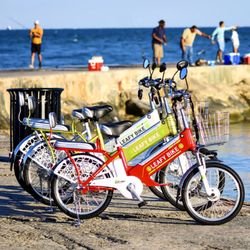 Leafy Bike - Miami - Leafy Bikes