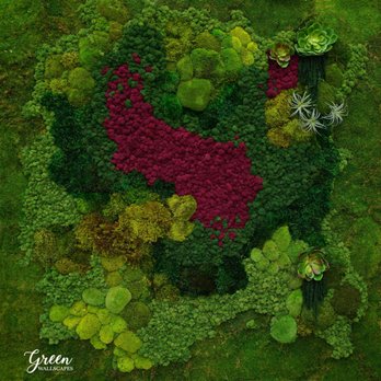 Emerald Walls - Indoor Landscaping Near Me