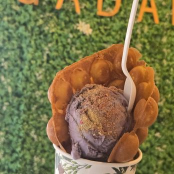 Gadani - Coffee & Tea Near Me - Berkeley, California