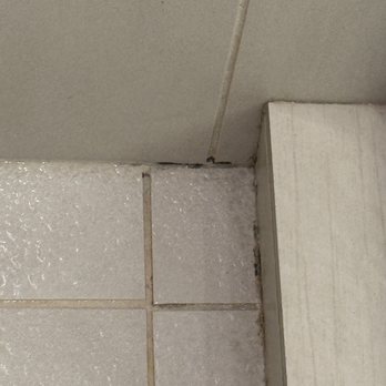 Arizona Biltmore, LXR Hotels & Resorts - Shower with dirty grout and tile - Hotels Near Me - Phoenix, Arizona