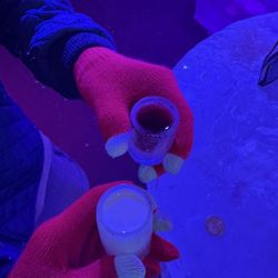 IceBar