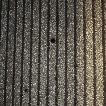 Sonesta Select Austin North - Cigarette burns throughout the room - Hotels Near Me - Austin, Texas