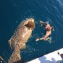 Photo of Sea Legs