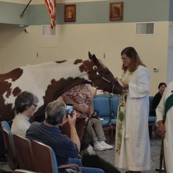 St Bartholomew's Episcopal Church - Blessing of the animals. The Feast of St. Francis of Assisi