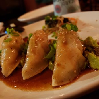 Lucky Belly - Shrimp Gyoza - Bars Near Me - Honolulu, Hawaii