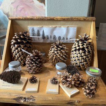 Big Bear Discovery Center - Pinecones from the area - Hiking Near Me - Fawnskin, California Big Bear Discovery Center - Pinecones from the area - Hiking Near Me - Fawnskin, California