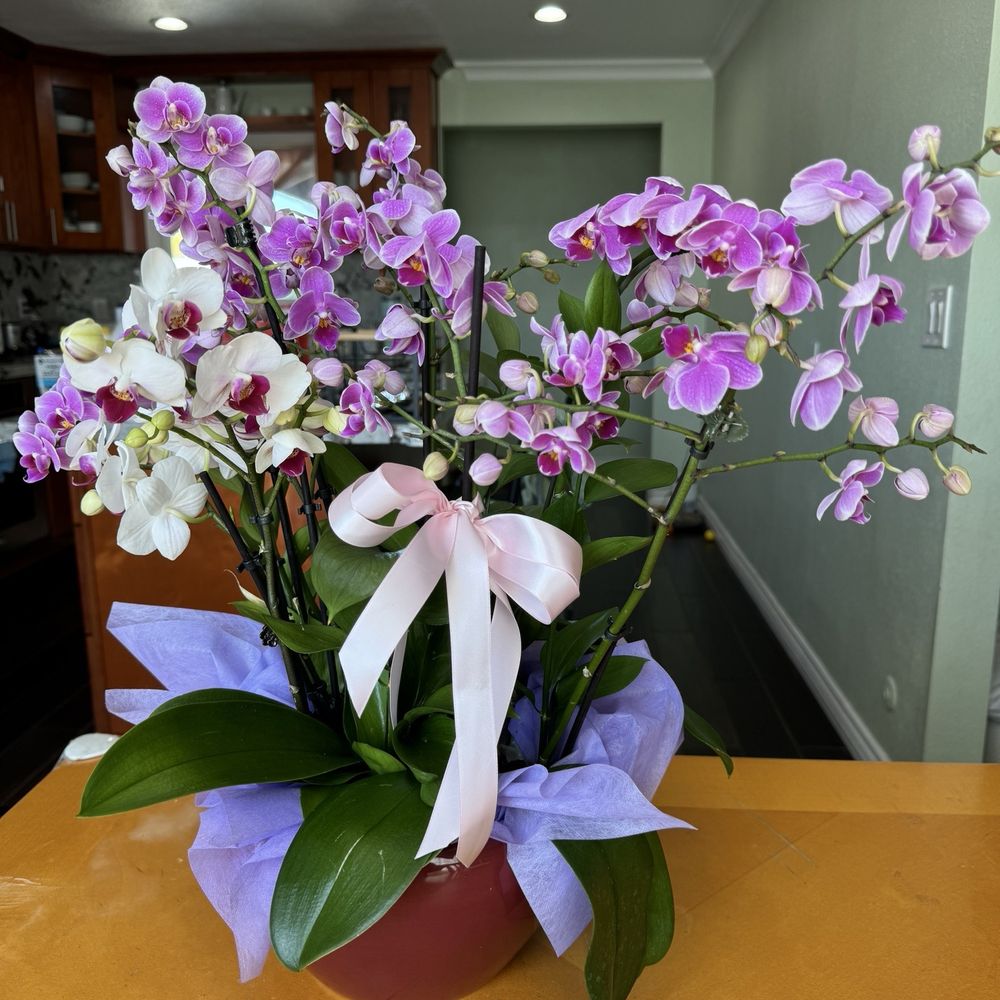 Casa Blanca Flower - Florists Near Me - Westminster, California