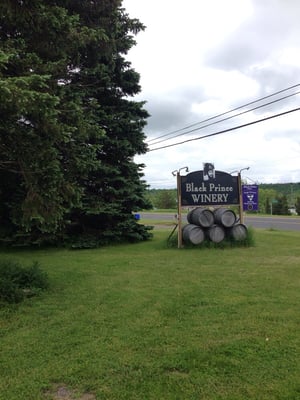 Black Prince Winery & Canadian Vinegar Cellars featuring Barrel House Wood-Fired Pizza + County Disc Golf by null