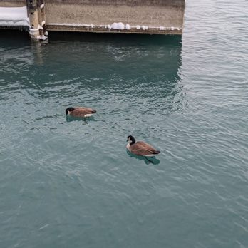 RiverWalk - Winter February 2025 - Parks Near Me - Detroit, Michigan RiverWalk - Winter February 2025 - Parks Near Me - Detroit, Michigan