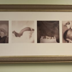 Western Dupage Obstetrics & Gynecology