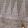 Photo of Cortes Carpet Cleaning