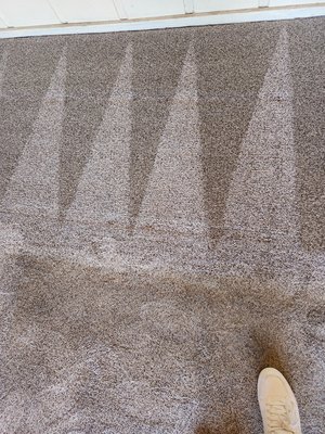 Cortes Carpet Cleaning on Yelp