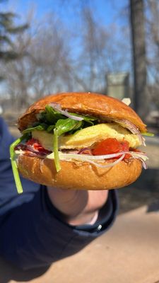 Egg on a Roll by null