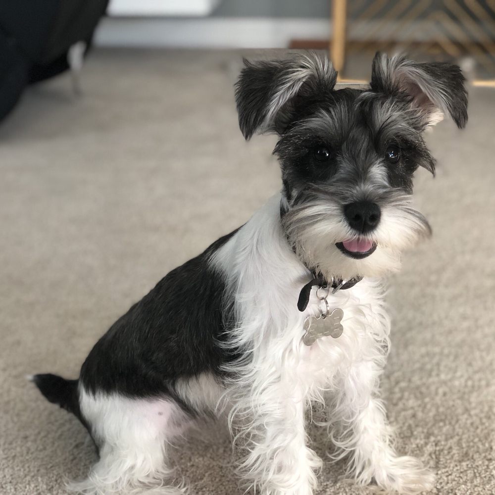 Ellie says thank you!