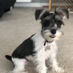 Ellie says thank you! Ellie says thank you!