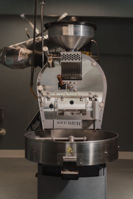 The Boy & The Bear - Gardena by null